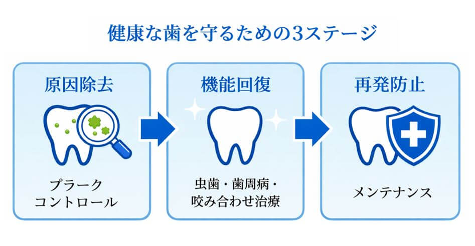 健康な歯を守るための3ステージ
