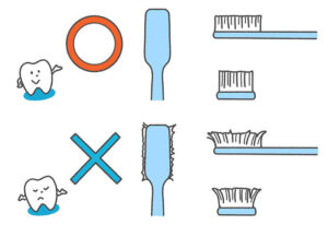 歯ブラシ交換の目安